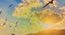 西甲焦点战：巴列卡诺VS塞维利亚实力对决及预测